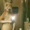 Ray Tillero - @ray.tillero - TikTok