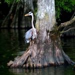 Ray Tinsley - @tinsleyray - Instagram