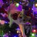 Tobin Ray - Facebook