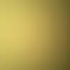 Tobin Ray - @tobin.ray - TikTok