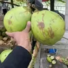 Md Raytoll - @md.raytoll - TikTok
