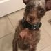 Ray Tracy - Facebook