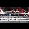 Rayunderwood🥊🥊 - @ray_un.derwood - TikTok