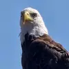 Ray Valentin - @ray.valentin4 - TikTok