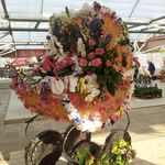Raymond Vanderpool - @raymond.vanderpool.50 - Instagram
