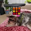 Rayyyy - @ms.rayvang - TikTok