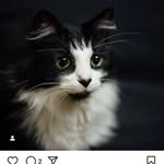 Ray Vangga Ap - @rayvangga_ - Instagram