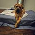 Raymond Van Winkle - Facebook