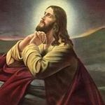Ray.velasquez - @ray.velasquez7347 - Instagram
