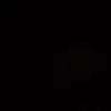 •rayleevogt• - @raylee.vogt - TikTok