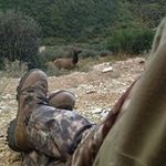 Ray Wagner - @ray.wagner.357 - Instagram