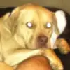 Ray Wagner - @ray.wagner0 - TikTok