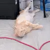 Ray_Wagner - @lucci_wagner - TikTok