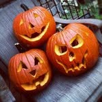 Ray Waite - @raywaite - Instagram
