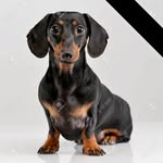 Ray Waite - @ray.waite64 - Instagram