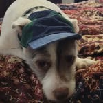 Ray Walley - @walleyray - Instagram