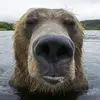 Ray Walter - @ray.walter31 - TikTok