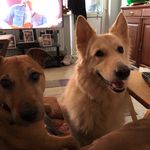 Ray Warner - @raywarner5366 - Instagram