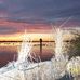 Ray Warner - Facebook
