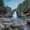 raywarner - @raywarner - TikTok