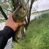 raywebb1020 - @raywebb7 - TikTok
