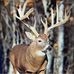 Ray Weiler Jr - Facebook
