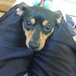Ray Welsh - @welsh_ray - Instagram