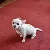 Ray Welsh - @ray.welsh0 - TikTok