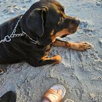Lori Ray - @wenzelray - Instagram