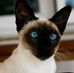 Ray Wenzel - Facebook