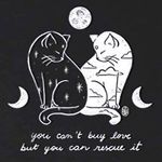 Brooke Ray Whitaker - @whitakerways - Instagram