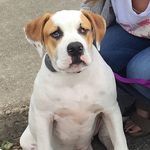 Ray Charles Whitaker - @_ray_charles_whitaker_ - Instagram