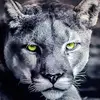 RAy Whitley - @ray.whitley57 - TikTok