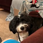 Ray Wicker - @raywick1 - Instagram