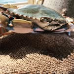 Ray Wicker - @wickerseafoodmarket - Instagram