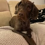 Ray Wilkinson - @rayw72024 - Instagram