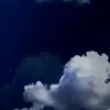 Ray - @raywing - TikTok