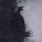 Roman - @raywing_the_dragon - Instagram