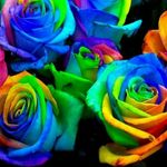 Isaac Ray Withrow - @isaac_withrow_15 - Instagram