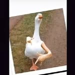 Ray Witte - @ray_witte23 - Instagram