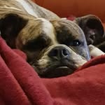 Ray Wittenhagen - @raywittenhagen - Instagram