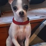 Martha Ray Womack - @hillbilly312 - Instagram