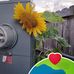 Ray Yount - Facebook