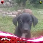 Ray Zepeda - @ray.zepeda.921 - Instagram