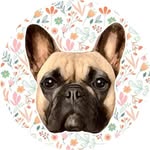 Raya Jones🌈 French bulldog🤍 - @therayalife - Instagram