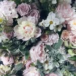 Raychel.Smith - @aliensmith.011 - Instagram