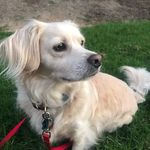 Raylene Davis - @thedavisfamily99 - Instagram