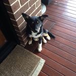 Raylene Smith - @raylene_smith2 - Instagram
