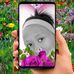 Raylene Smith - Facebook