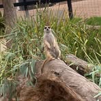 Raylene Wilson - Facebook